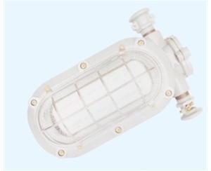 上海矿用隔爆型LED支架灯
